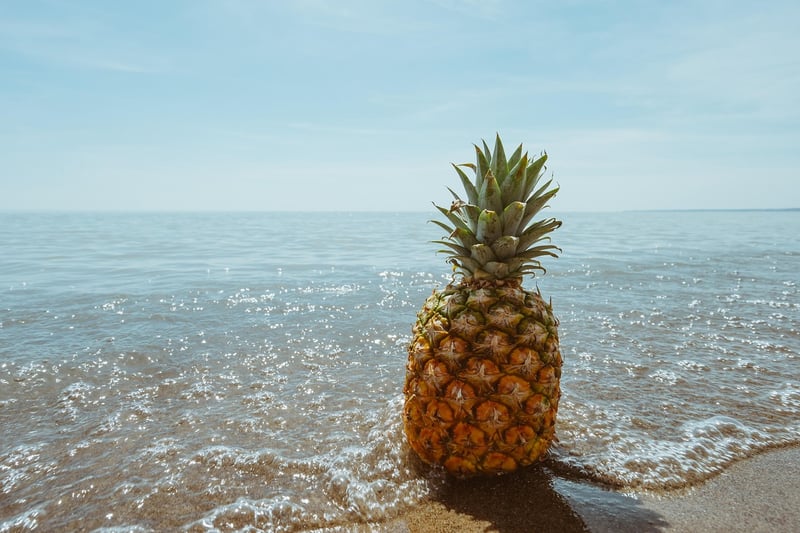 Pineapple Fruit